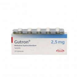 Гутрон таблетки 2,5 мг. №20 в Хасавюрте и области фото